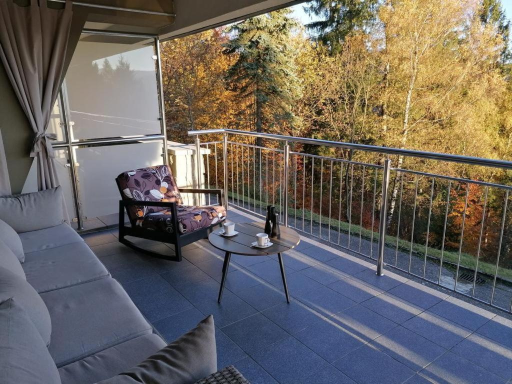 Apartament Widokowy Z Tarasem Bukowa ヴィスワ 部屋 写真